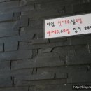 쿤헤어 이미지