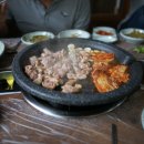 오늘따라청둥오리 이미지