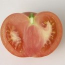 웰빙나라(과일이랑야채랑) Daum카페