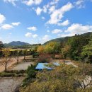 사나래캠핑장 이미지