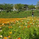 함평책집 이미지