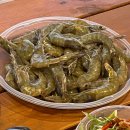 미라실로 이미지