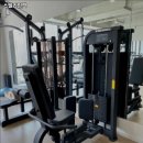 스텔라인핏