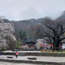 변산반도참한우