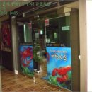 예스향원정 이미지