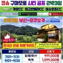 CC아케이트 이미지