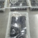 꼬마김밥전문