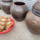 다솜초등학교 이미지