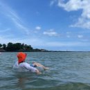 하도방학 이미지