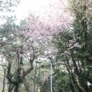 제주 올레길 7코스 이미지