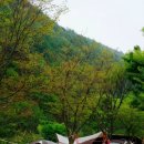 영월별마로펜션캠핑 이미지