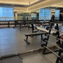 마인드휘트니스 이미지