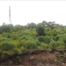 회성동102 이미지