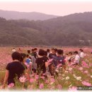 정다운휴게소 이미지