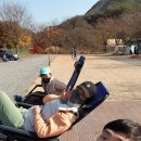 The 하루만 캠핑장 이미지