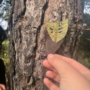 석불초등학교 이미지