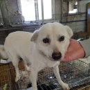 충무고등학교 이미지