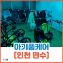믿음세탁 | 인천 만수동 휴대용 유모차 세탁 대만족 후기 [아기품케어]