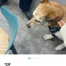 나눔인테리어.설비