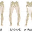 초등 필라테스 이미지