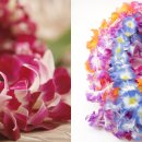 하와이의 꽃목걸이 레이(Lei) 이미지