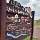 낙동강제방(강서30리벚꽃길) 이미지