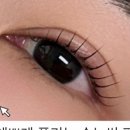 벨르래쉬