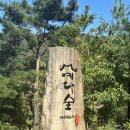 아떼에르 인 예다숲 이미지