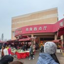 J마트 | Qingdao Log | 아침에는 조시장 저녁에는 야시장, Day 3