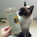 702 | 스마트 반려동물소변검사 키트 cym702 pet 고양이 후기