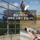 새들 한겨레