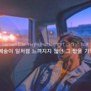 데이리에 이미지