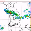실시간 강수 예측 (저녁7시~밤12시, 중부지방 피해 우려) 이미지