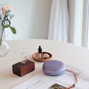 스피커 | 뱅앤올룹슨 B&amp;O 베오사운드 A1 프리미엄 포터블스피커 후기