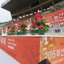 불기2559넌 부산 연등축제(1) 이미지