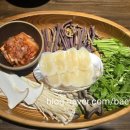 우물집 티스토리