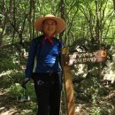 양산천변 이미지