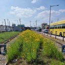 ☆군산시간여행 ( 군산근대역사박물관, 호남관세박물관, 근대건축관, 진포해양 테마공원등) 사진!!!- (2) 이미지