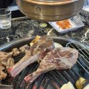 [창원_서상동] 창원양고기맛집 “양귀비” 솔직 후기
