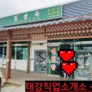 양지직업소개소 - 서귀포시 | 현장, 점심메뉴, 몸보신, 든든한 한끼, 설렁탕, 양지설렁탕, 수육설렁탕, 꼬리수육, 호로록 국수 소면...