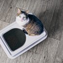 25시동물병원 이미지