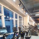 더 디짐 이미지