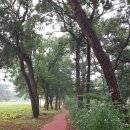 능뜰공원 이미지