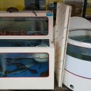 가양초등학교 정문 건너편 이미지