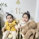 [돌준맘]서울 근교 남양주 다산 쁘띠씨엘로 소규모 돌잔치 장소 추천 사전답사 후기