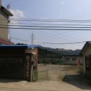 윤지애견 이미지