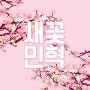 아영다방