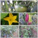 순만농장 이미지