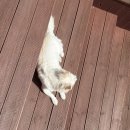 일상(日常) 그 그 | 9-10月の日常