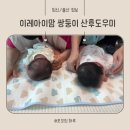 노원이레케어 | 노원중랑 이레아이맘 쌍둥이 산후도우미 2명 8주 후기